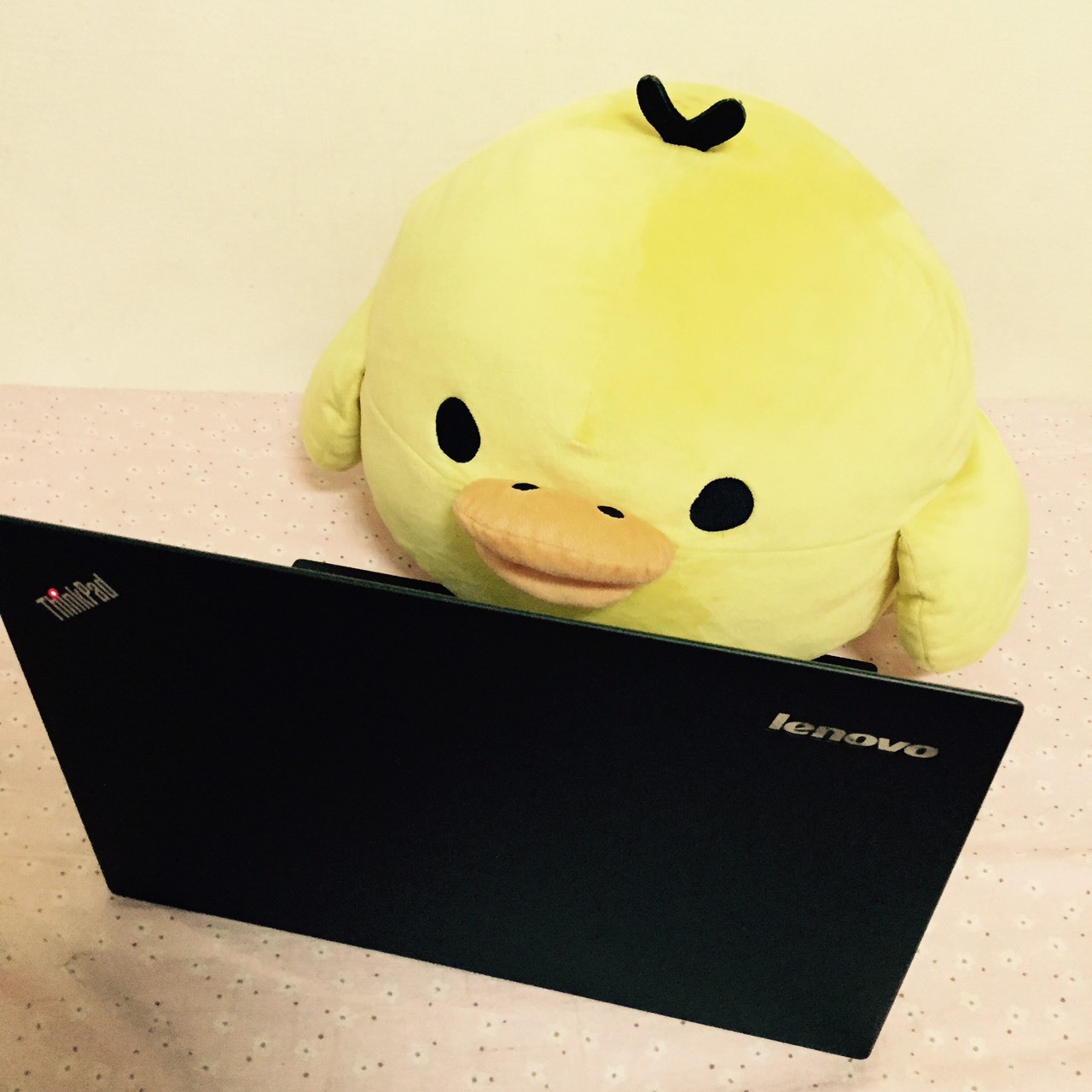 白帽故事汇：网络安全战士从来不是「男生」的专利