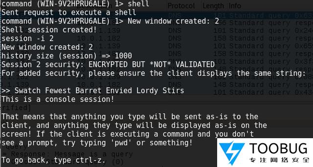 dnscat2 ??一款很神奇的DNS隧道工具