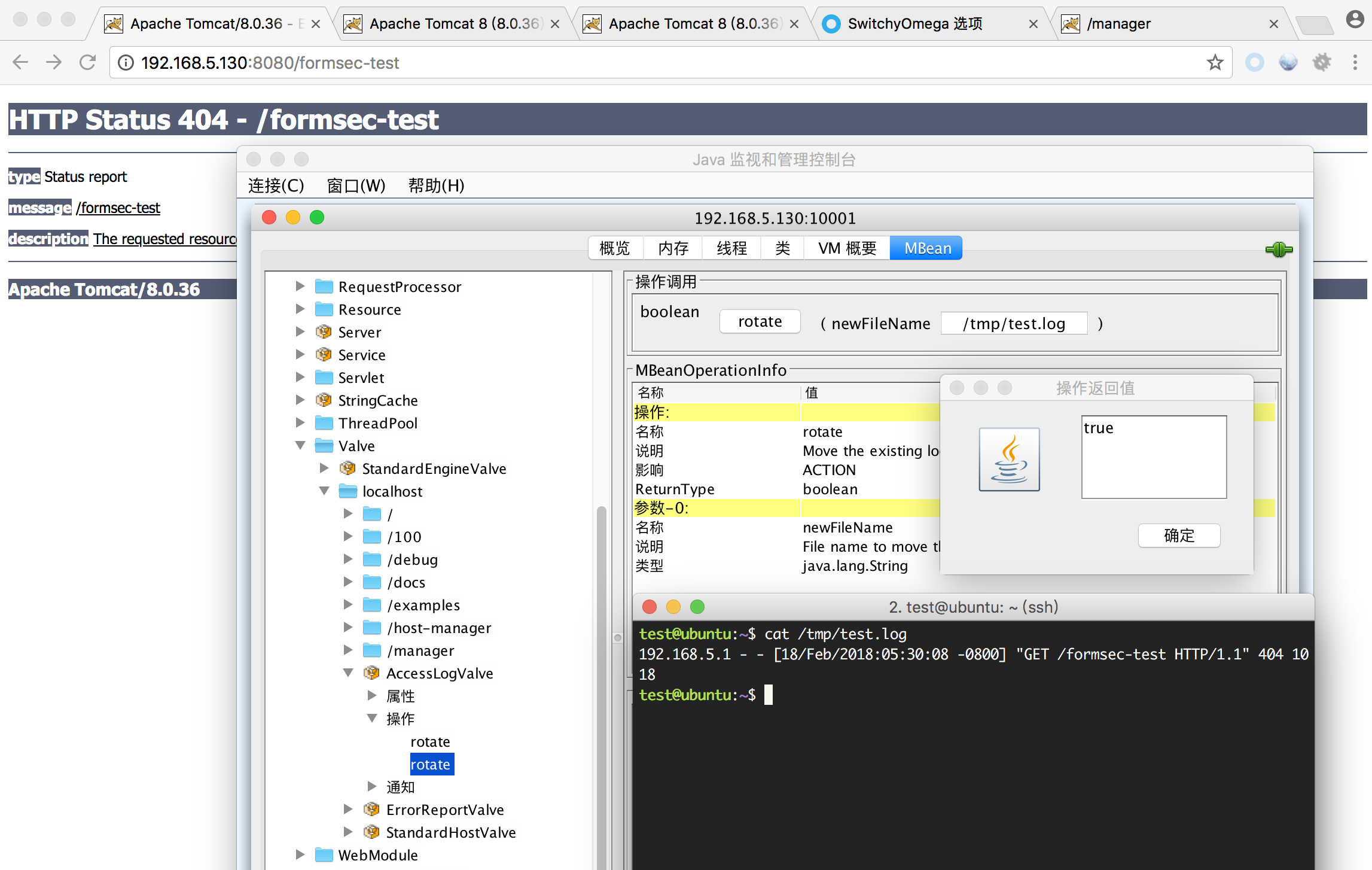 TOMCAT安全测试概要