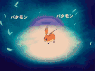 HTTPS 到底加密了什么？