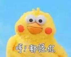 世界之谜:为什么程序员总是发现不了自己的Bug?