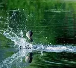 以Java后端高级开发为例,讲述面试前的准备点