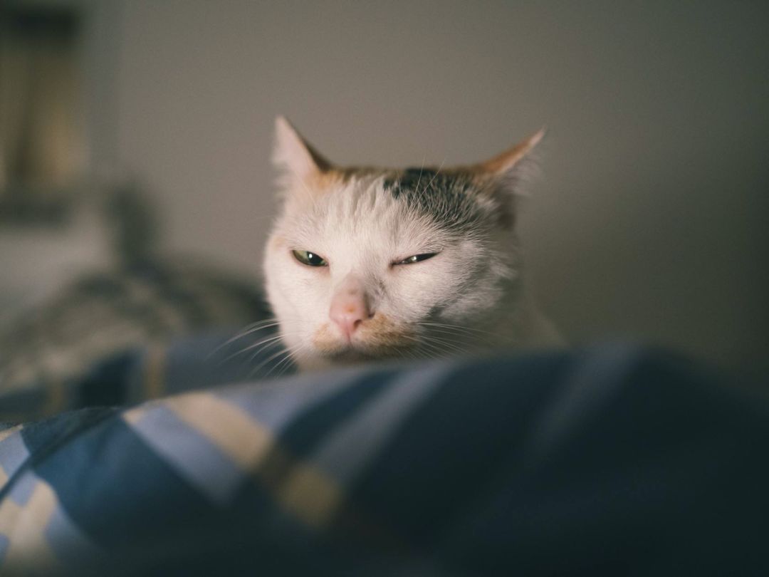 什么？你项目还在用Date表示时间？！