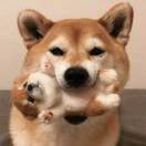 网友昵称：风尘