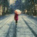 网友昵称：访客