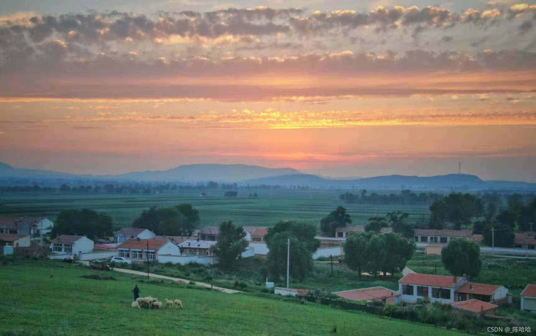 Java岗大厂面试百日冲刺 - 日积月累，每日三题【Day39】—— 数据库6