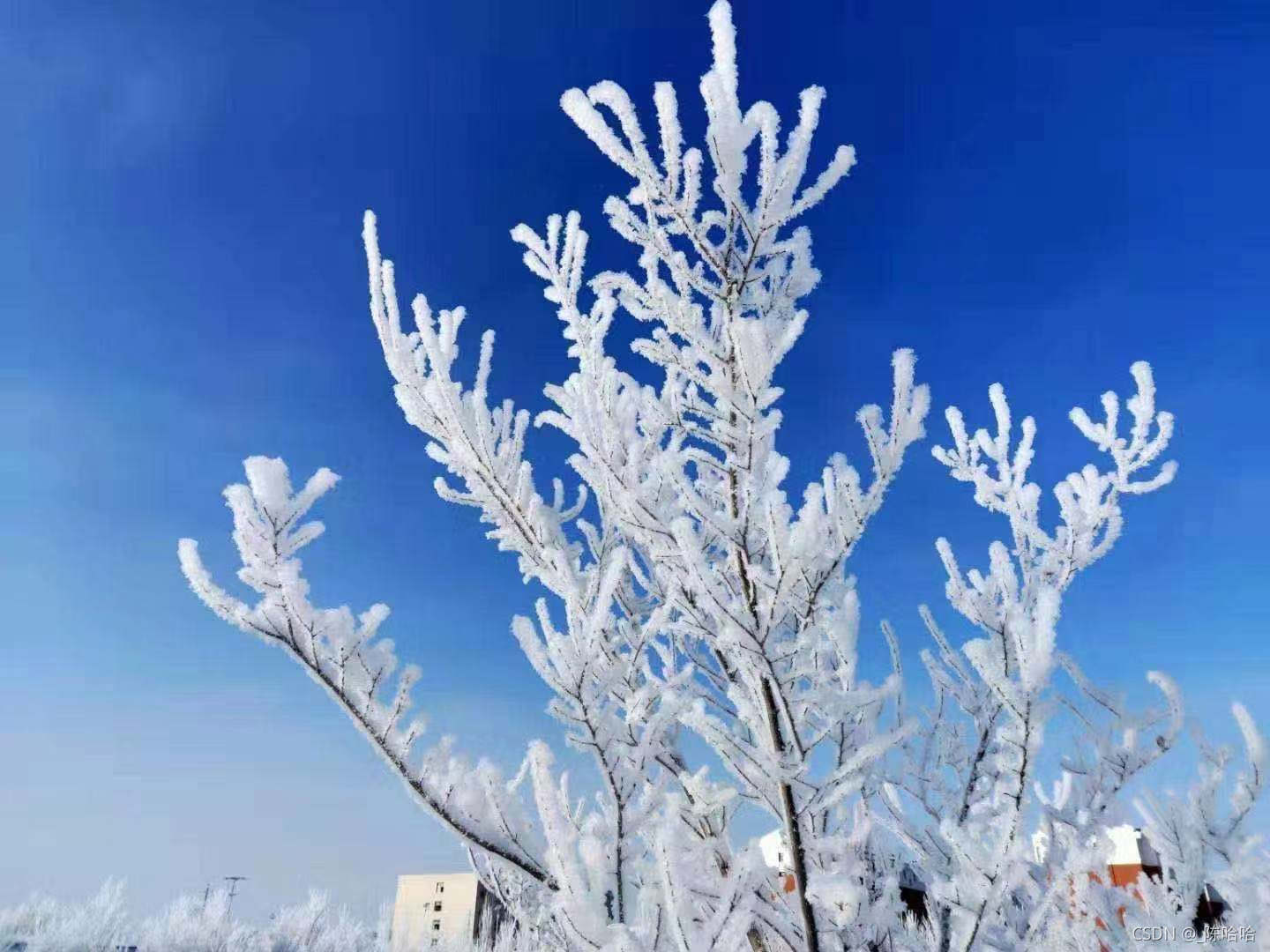 Java岗大厂面试百日冲刺 - 日积月累,每日三题【Day39】—— 数据库6