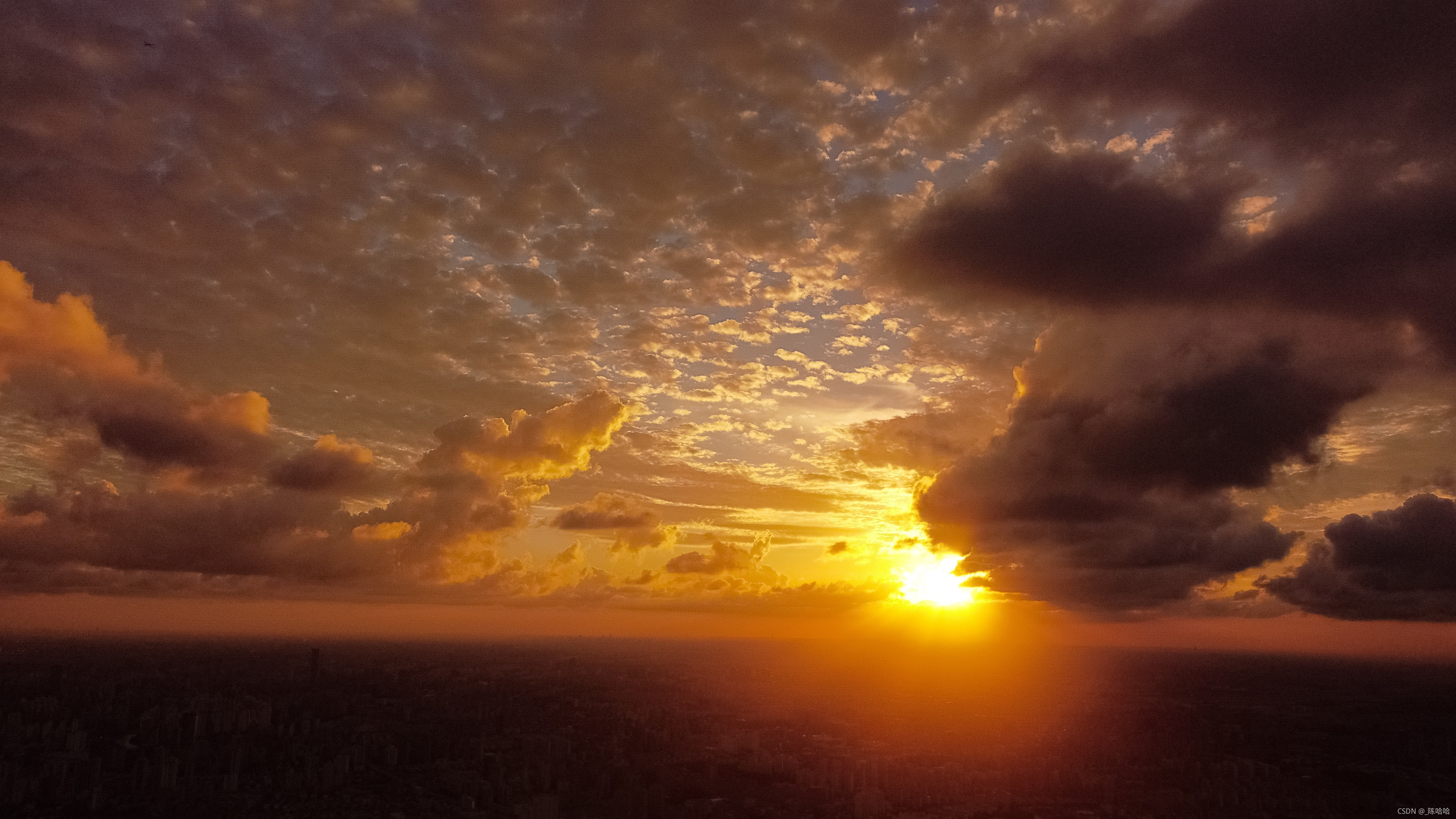 Java岗大厂面试百日冲刺【Day41】— JVM3 （日积月累，每日三题）