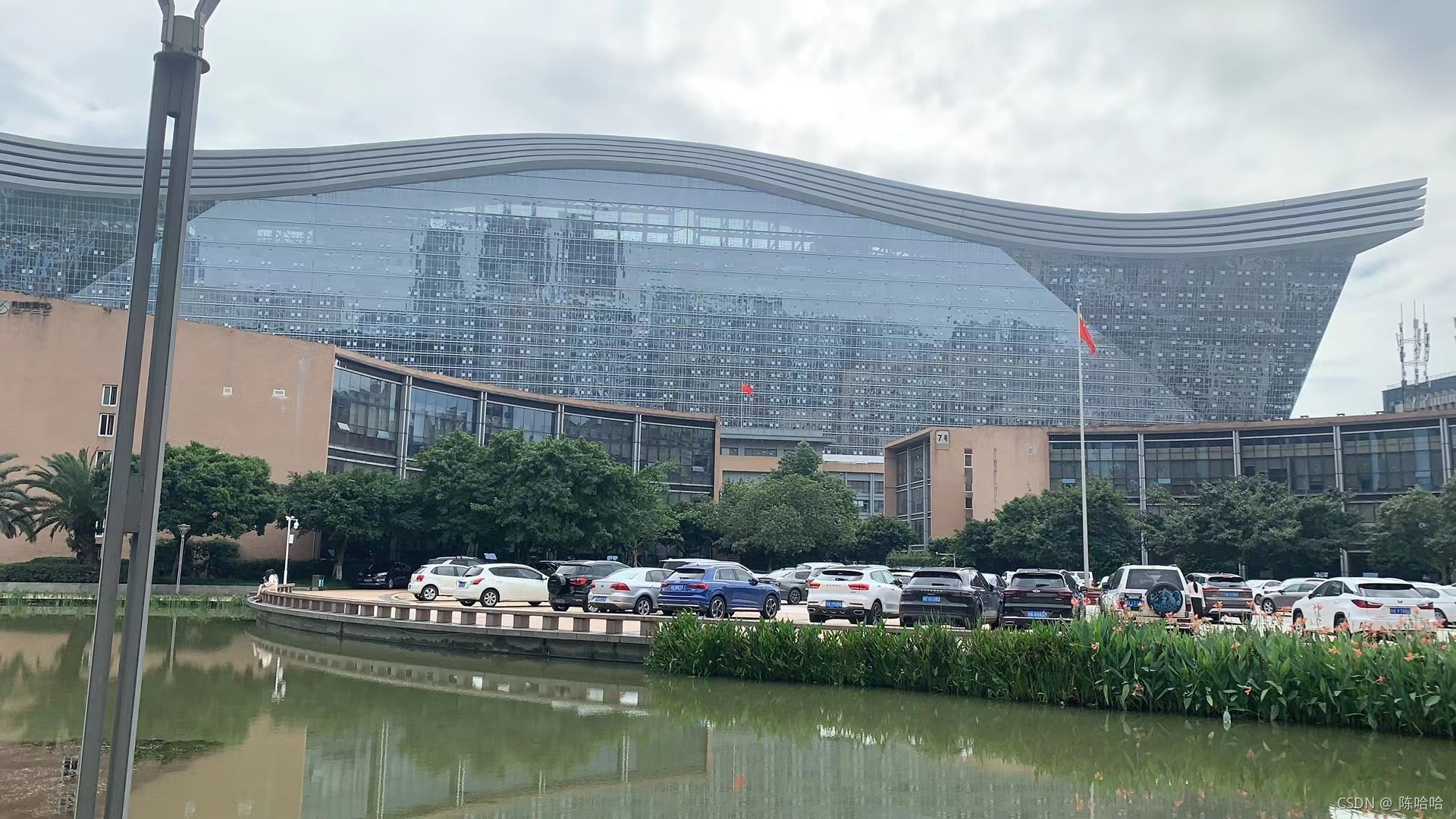 Java岗大厂面试百日冲刺【Day44】— Redis3 （日积月累，每日三题）