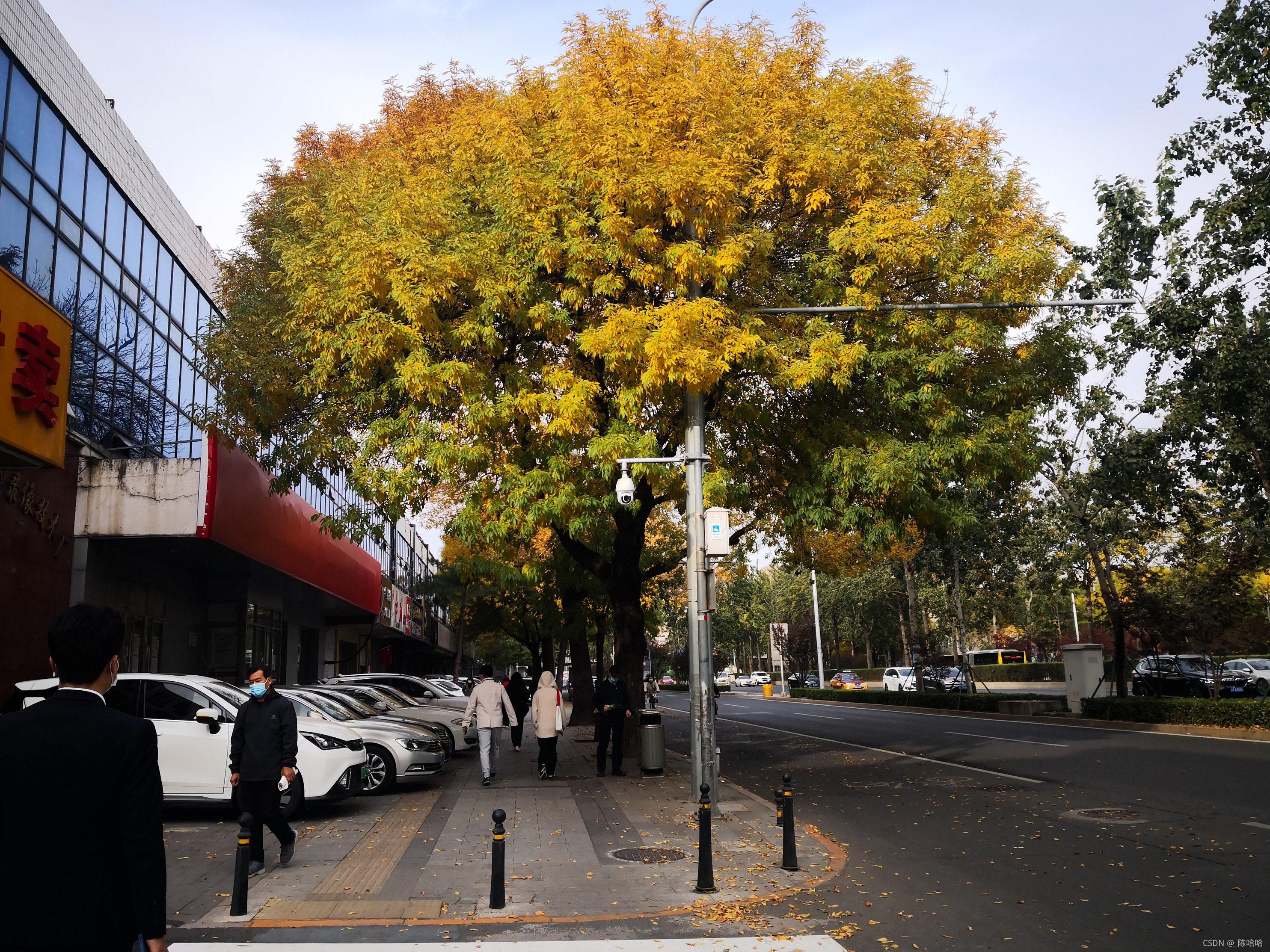 CSDN官方力推的《用户社区》，值得你来逛逛