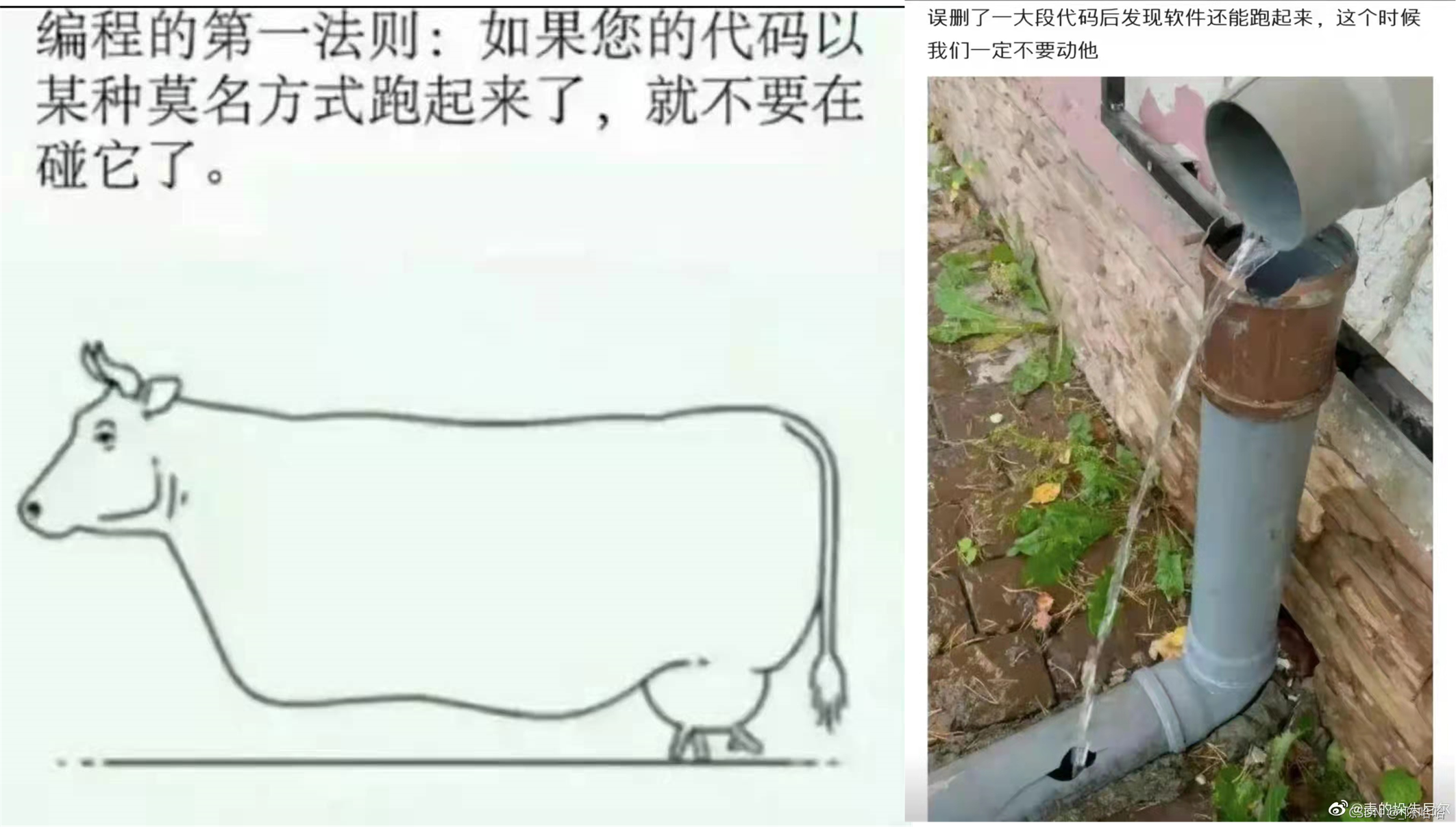 老大告诉我不要用字符串存IP地址，不兴~