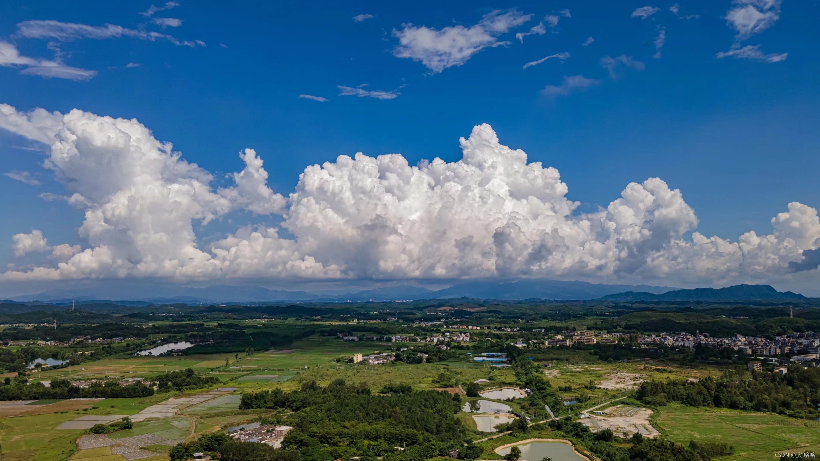 Java岗大厂面试百日冲刺【Day47】— 并发编程4（日积月累，每日三题）