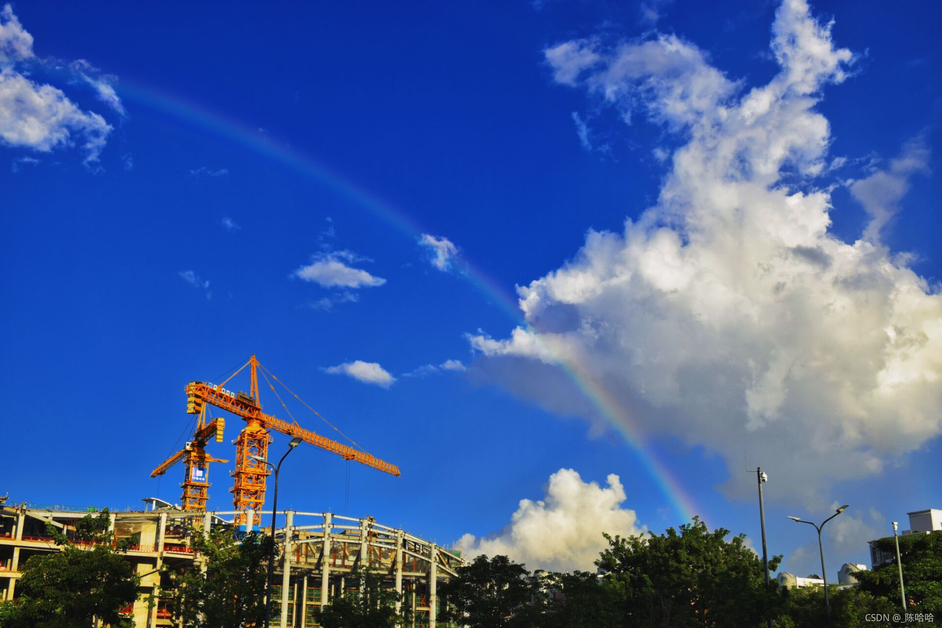 Java岗大厂面试百日冲刺【Day49】— 十个面试九个秒杀1 （日积月累，每日三题）