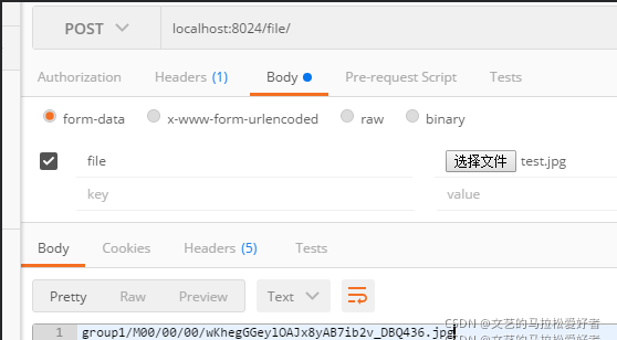【SpringBoot框架篇】24.集成FastDFS实现文件的分布式存储