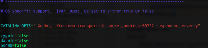 Tomcat使用IDEA远程Debug调试