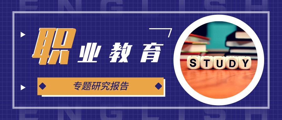 中国职业教育政策解读 | 职业教育系列报告（三）