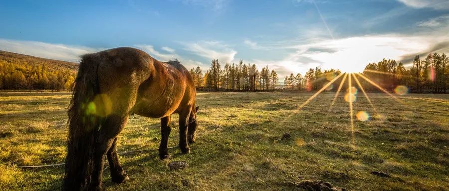 钉钉如何通过时序存储赋能数字化变革的信息洪流？