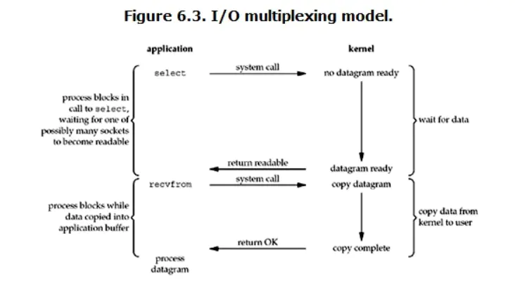 Redis面试系列：通俗理解多种IO模型