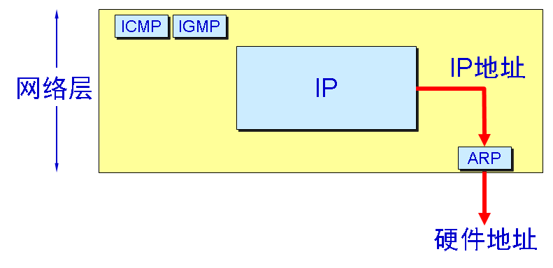 计算机网络春招面试复习：计算机网络之网络层