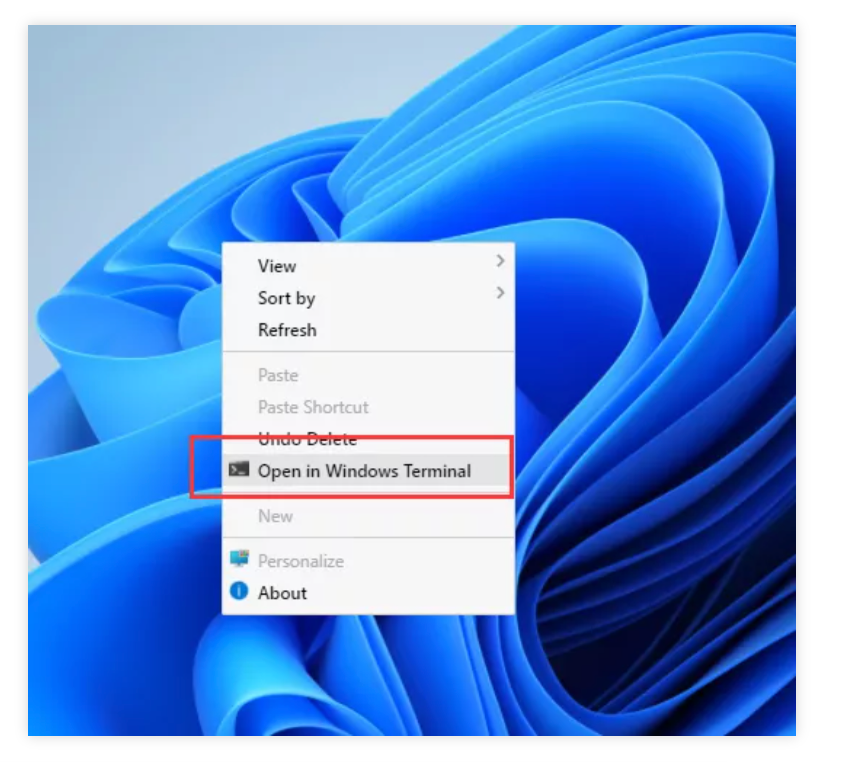 无需安装!Windows11网页版来了!一键带你体验win11!