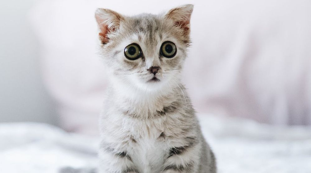 面试题：聊一聊设计模式的基本原则