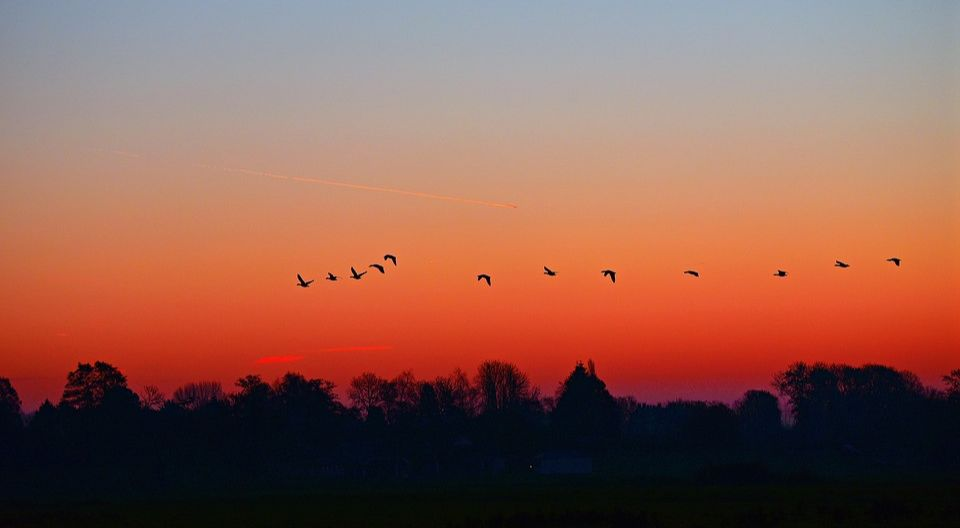 阿里巴巴Java开发手册建议设置HashMap的初始容量，但设置多少合适呢？