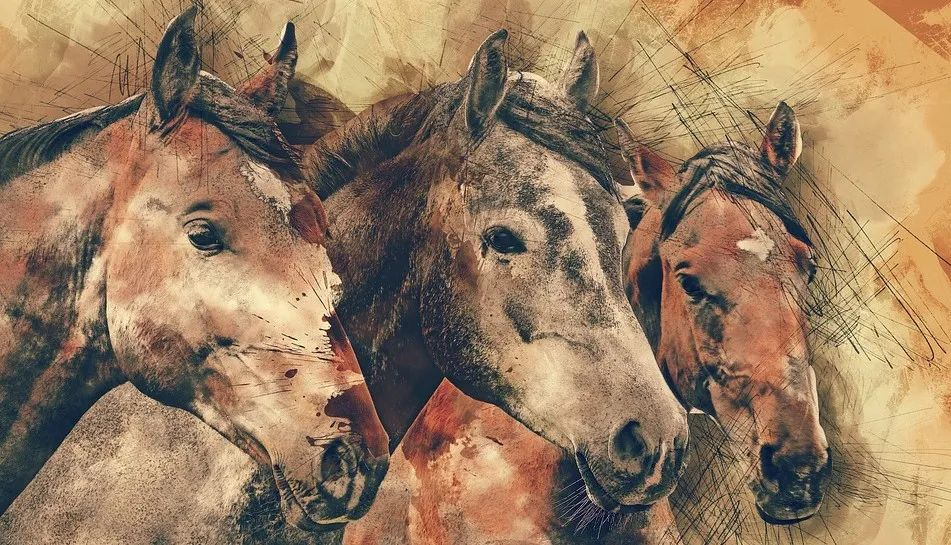 干货！操作系统基础知识汇总！转给要面试的同学吧