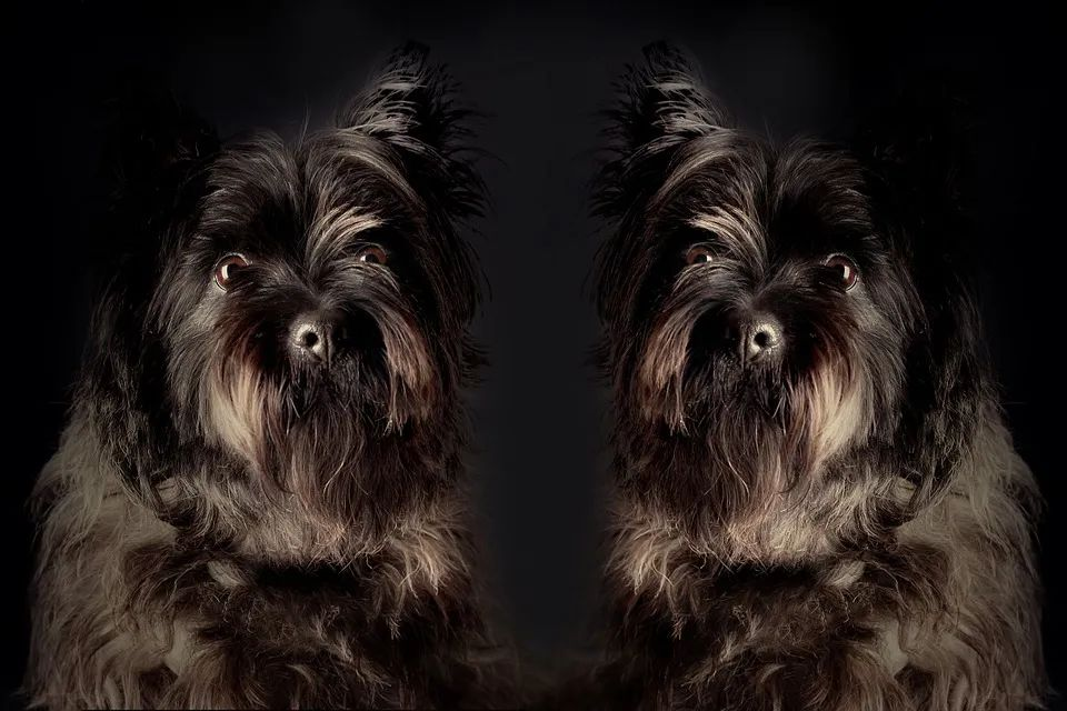 面试系列第2篇：回文字符串判断的3种方法！