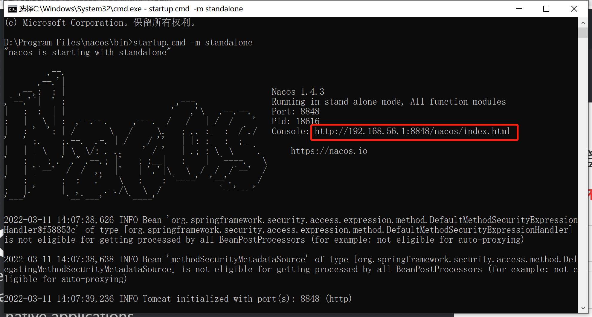 windows系统 安装nacos服务注册与发现中心