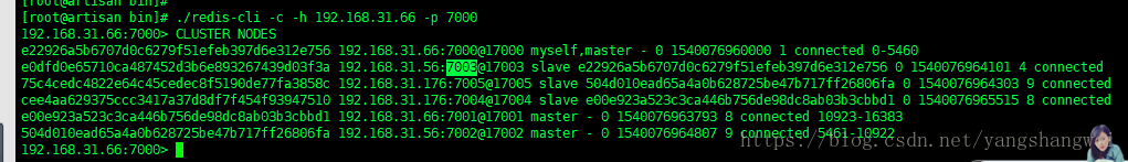Redis-22Redis-集群管理