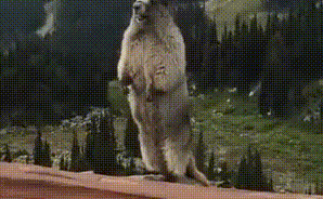 Apache ZooKeeper - 使用ZK实现分布式锁(非公平锁/公平锁/共享锁 )