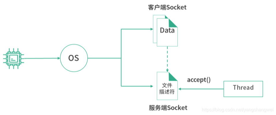 计网 - Socket 编程:epoll 为什么用红黑树?
