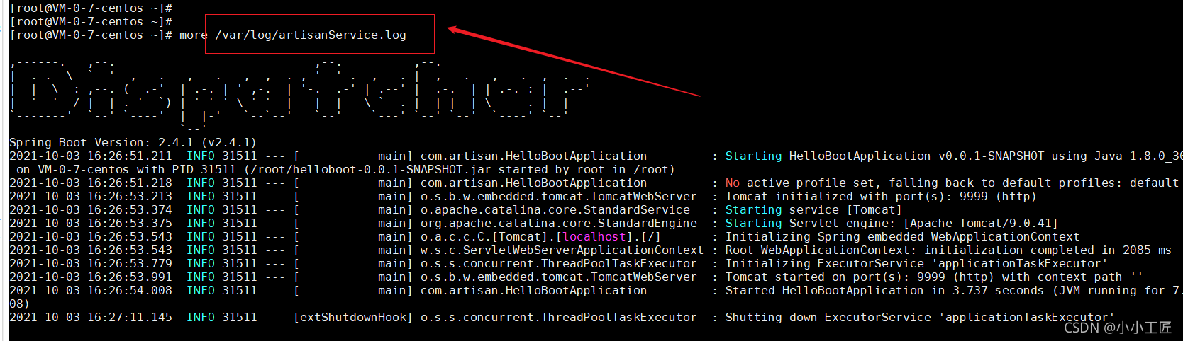 每日一博 - Spring Boot Application as a Service