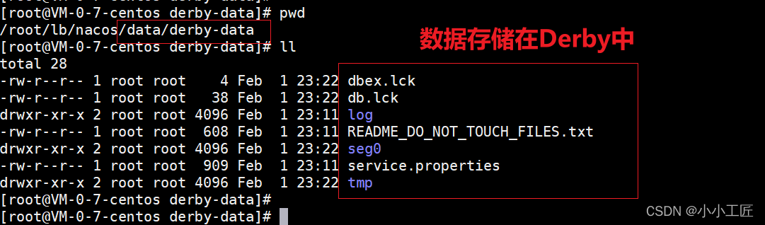 Spring Cloud Alibaba - 20 Nacos StandAlone模式下的数据存储(Derby)及新增登录用户