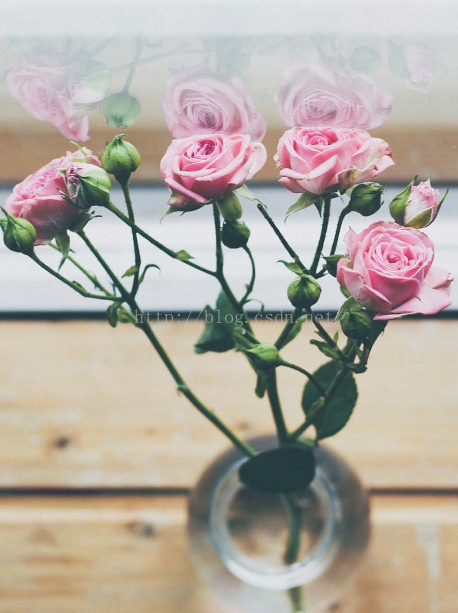 android学习笔记之ImageView的scaleType属性