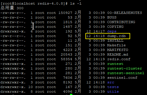 Redis快照持久化