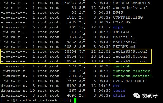 Redis主从复制(一)