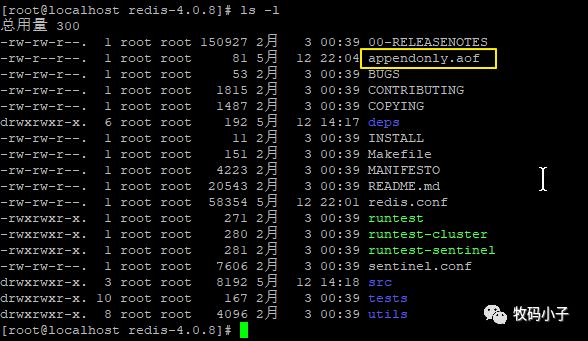 Redis之AOF持久化