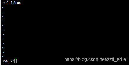 vim同时打开多个文件