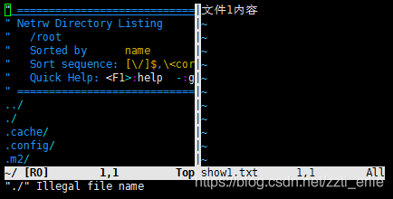 vim同时打开多个文件
