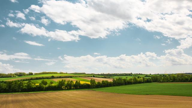 面试官：说一下八种基本数据类型及其包装类吧