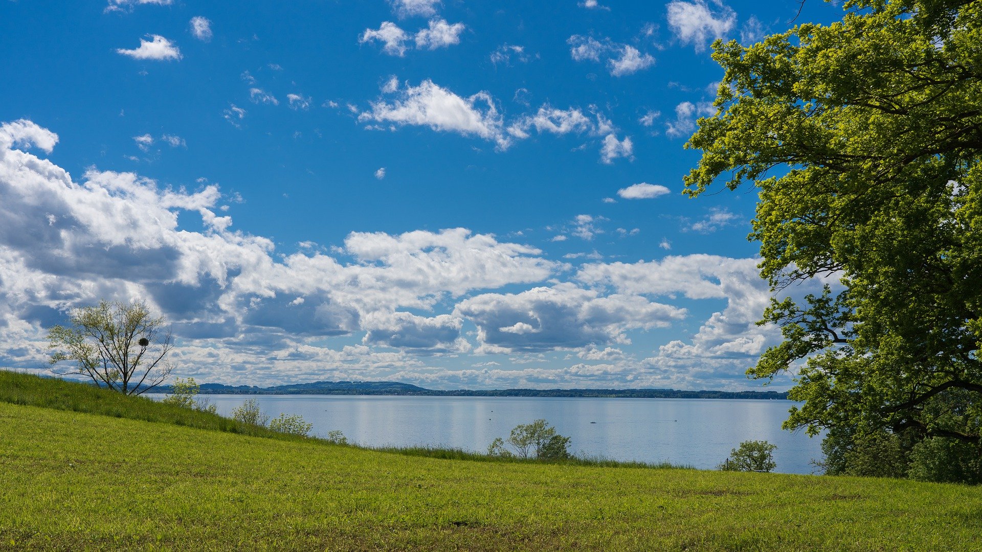 手写RPC框架：5分钟极速入门Netty的使用