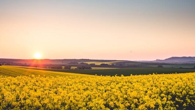 面试官：说一下构造函数，静态代码块，构造代码块等的加载顺序？