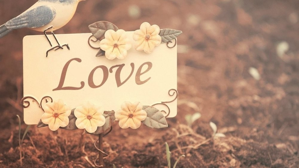 Spring MVC源码解析：各种类型Handler的注册和查找