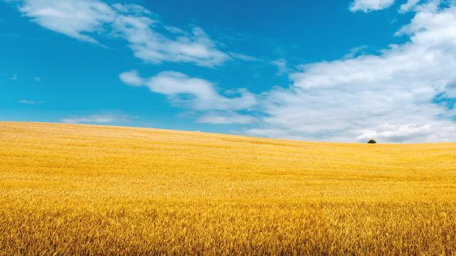 面试官：HashMap是怎么实现的？