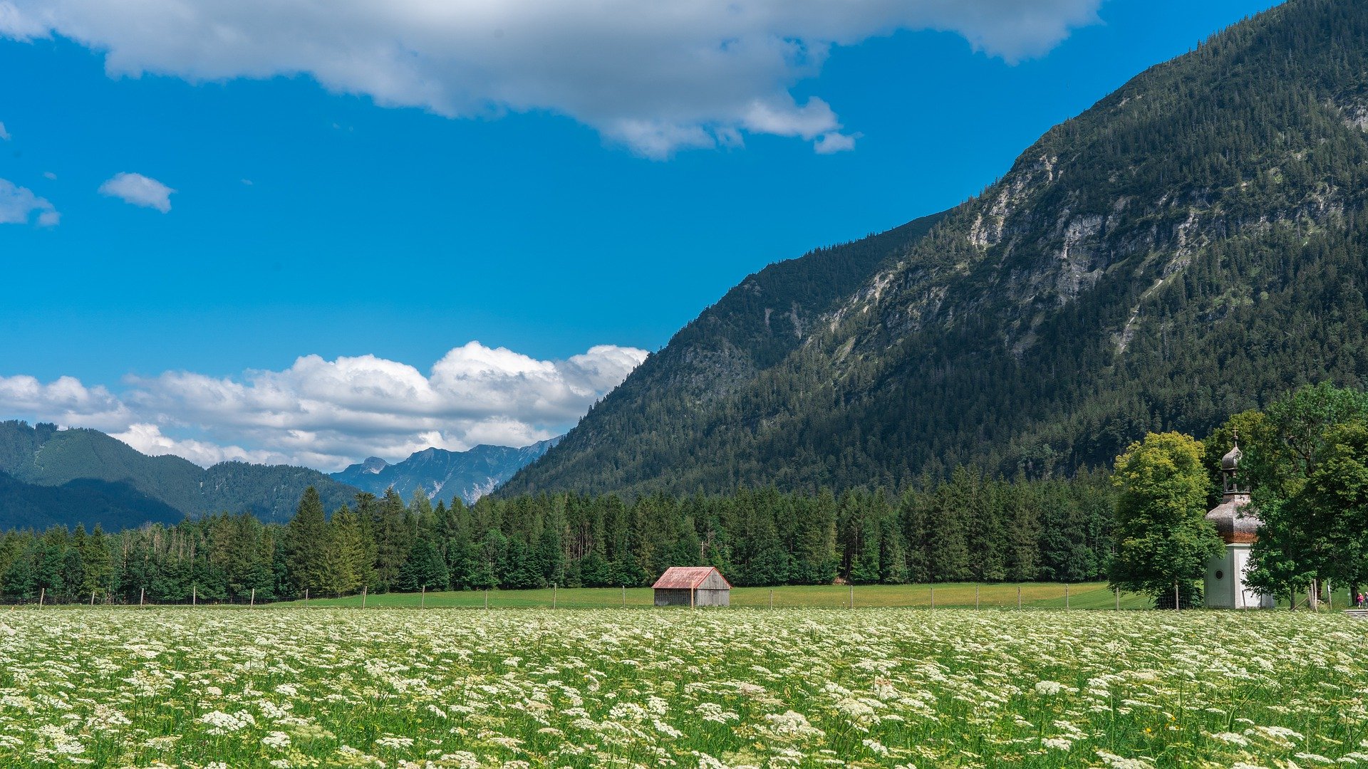 面试官：一张千万级别数据的表想做分页，如何优化？