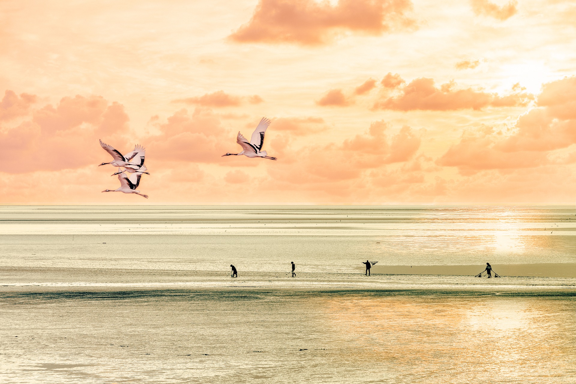 MySQL实战：三种日志都有啥用？