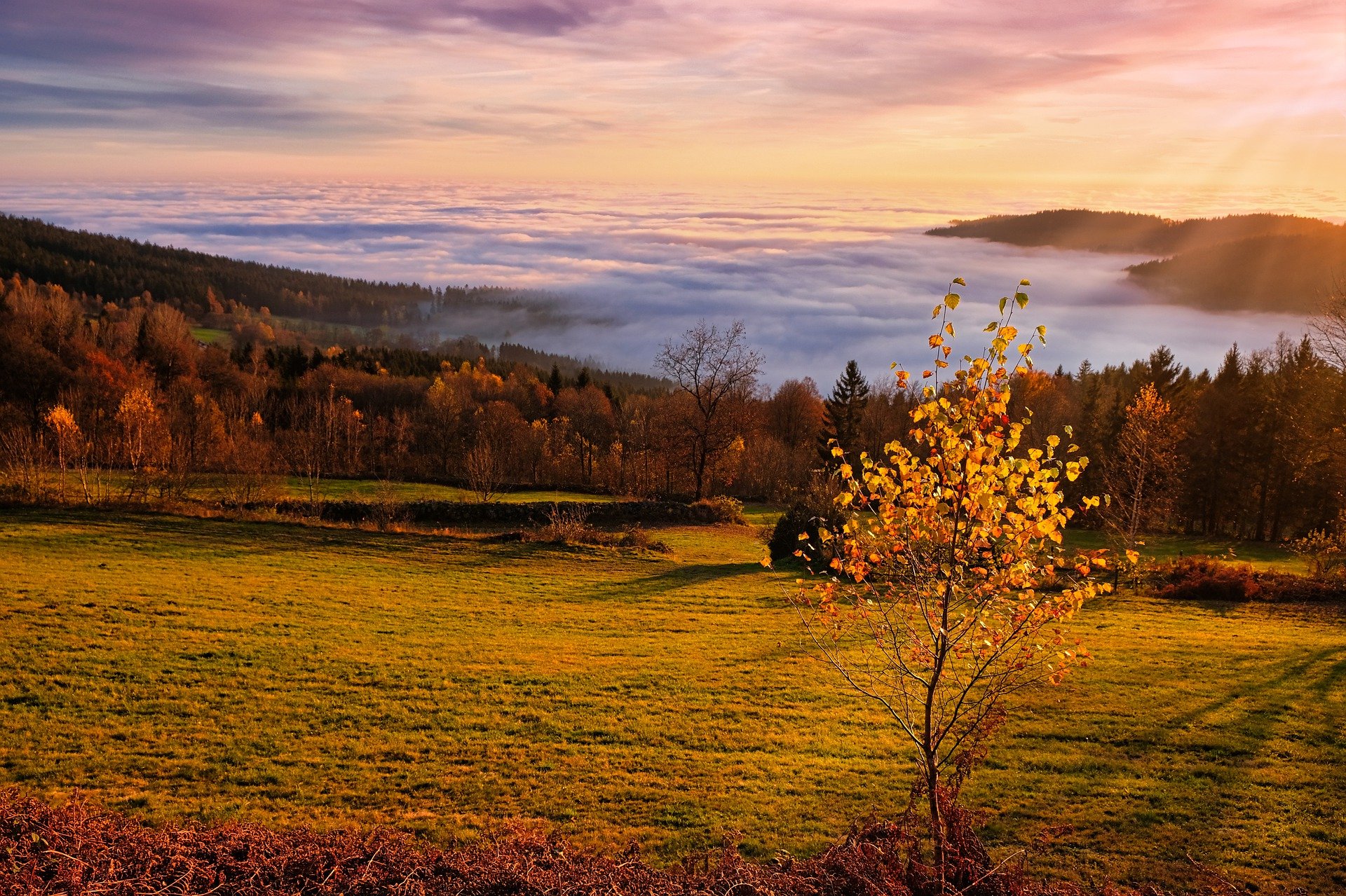 并发容器：ConcurrentHashMap（JDK1.8）