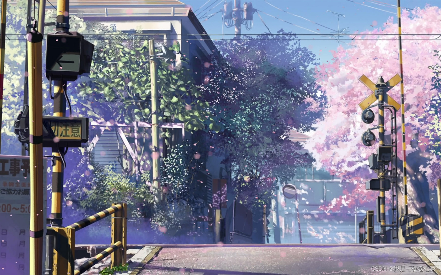 10章MySQL：库的创建、修改、删除