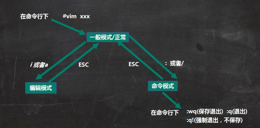 【Linux实操篇一】Vi和Vim编辑器的快捷键练习(必会内容)